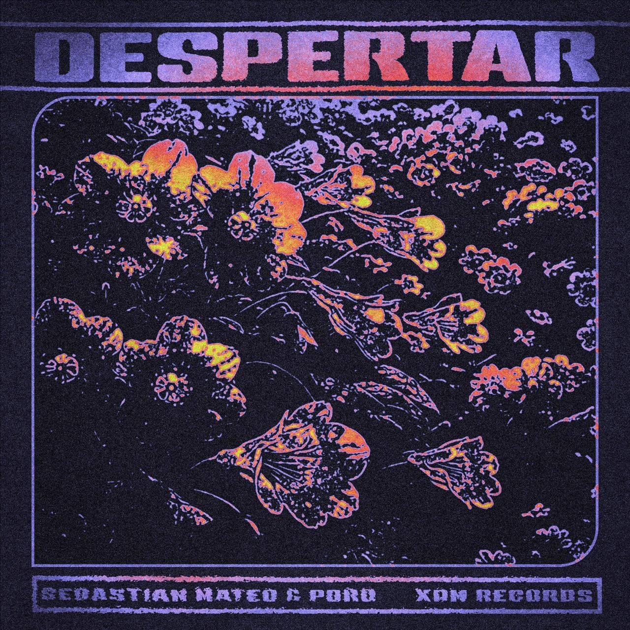 Despertar